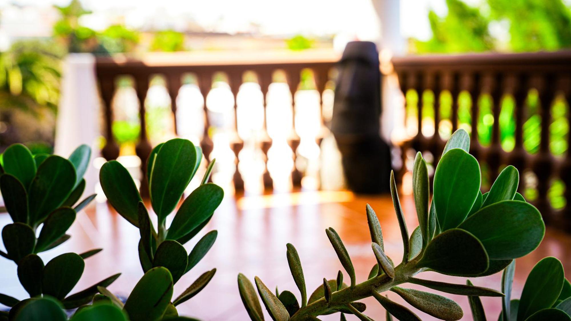 Villa Azul Fuerteventura Villaverde  Екстериор снимка