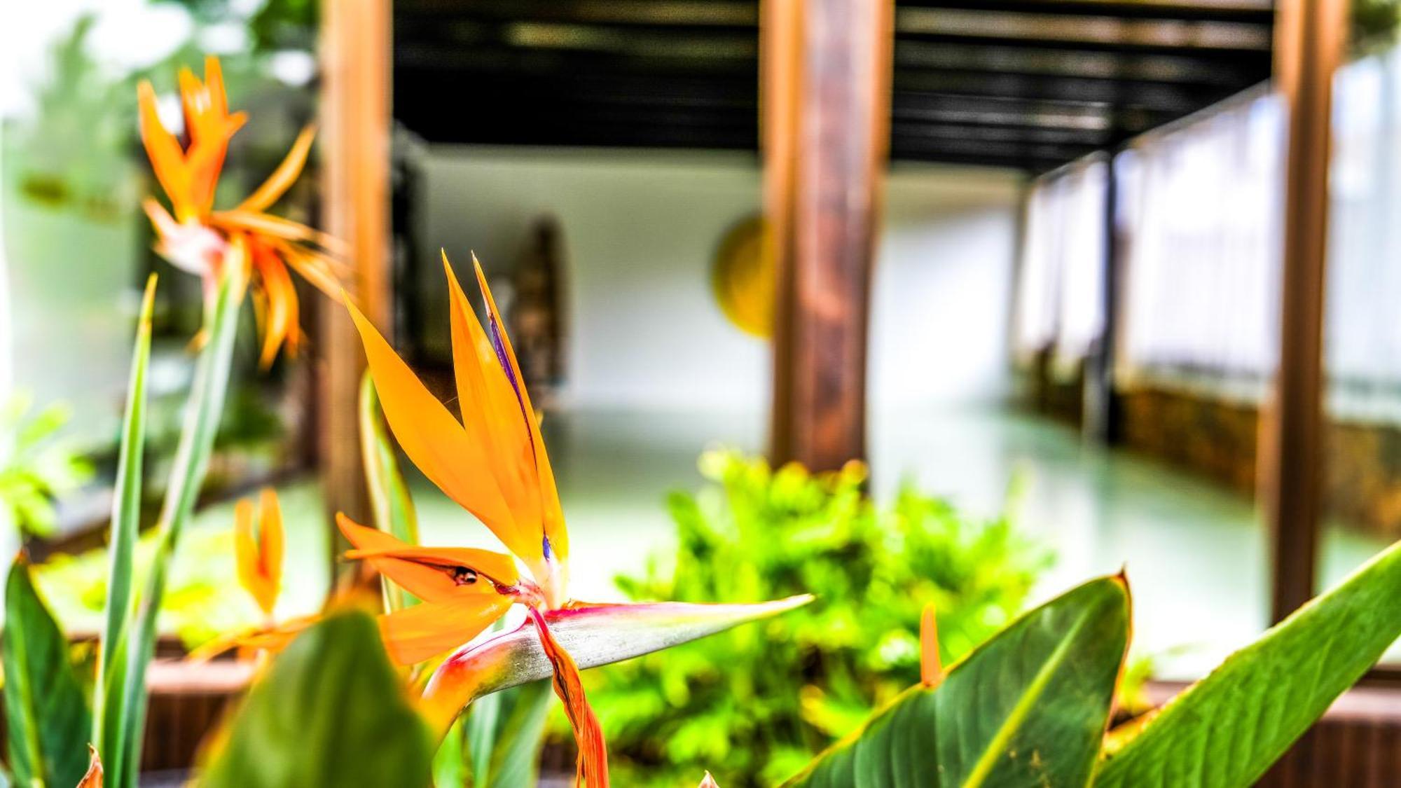 Villa Azul Fuerteventura Villaverde  Екстериор снимка