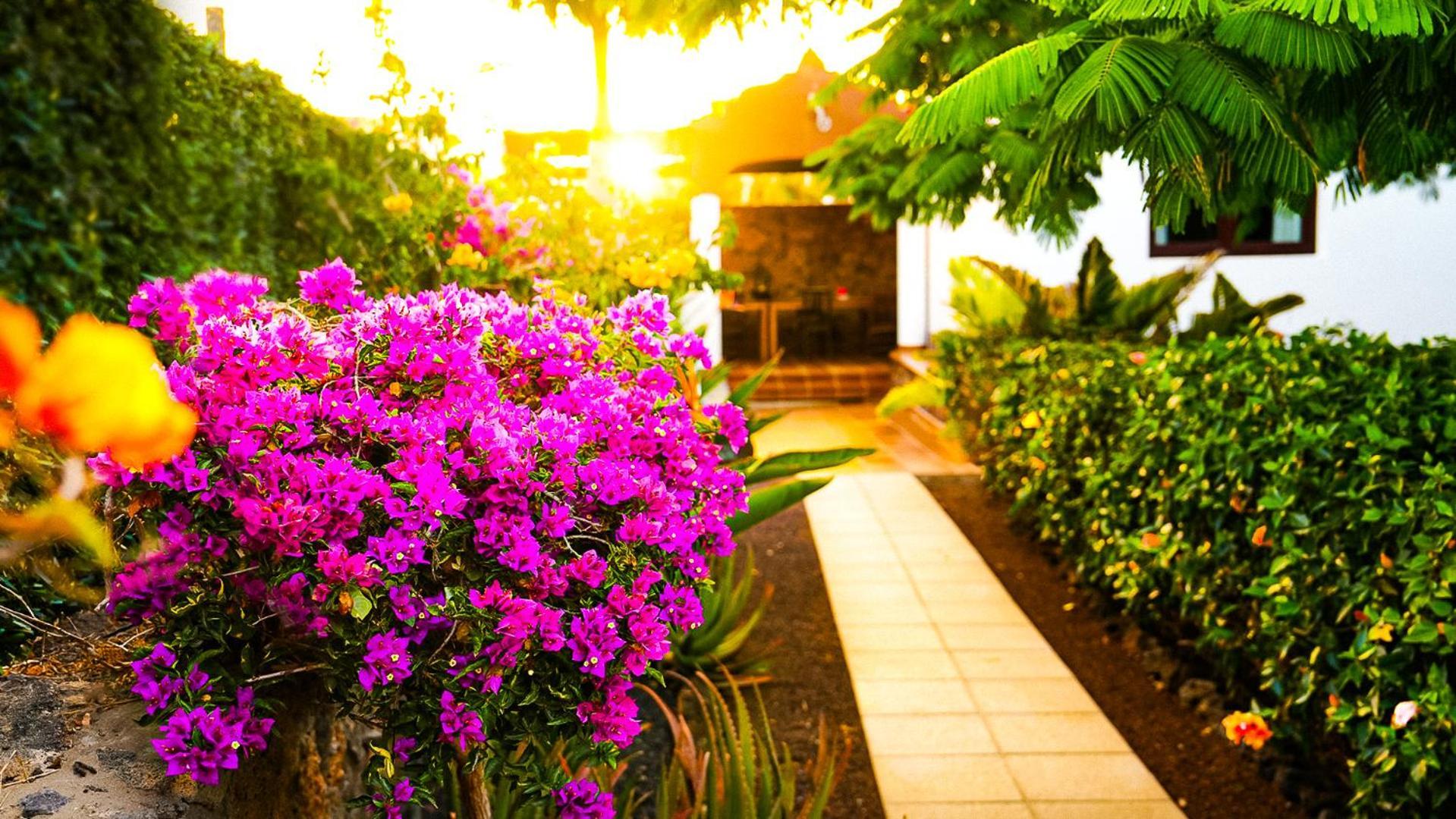 Villa Azul Fuerteventura Villaverde  Екстериор снимка