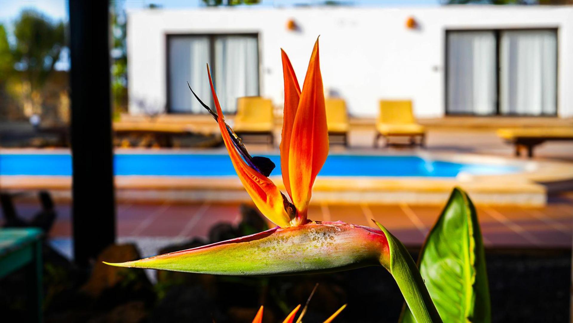 Villa Azul Fuerteventura Villaverde  Екстериор снимка